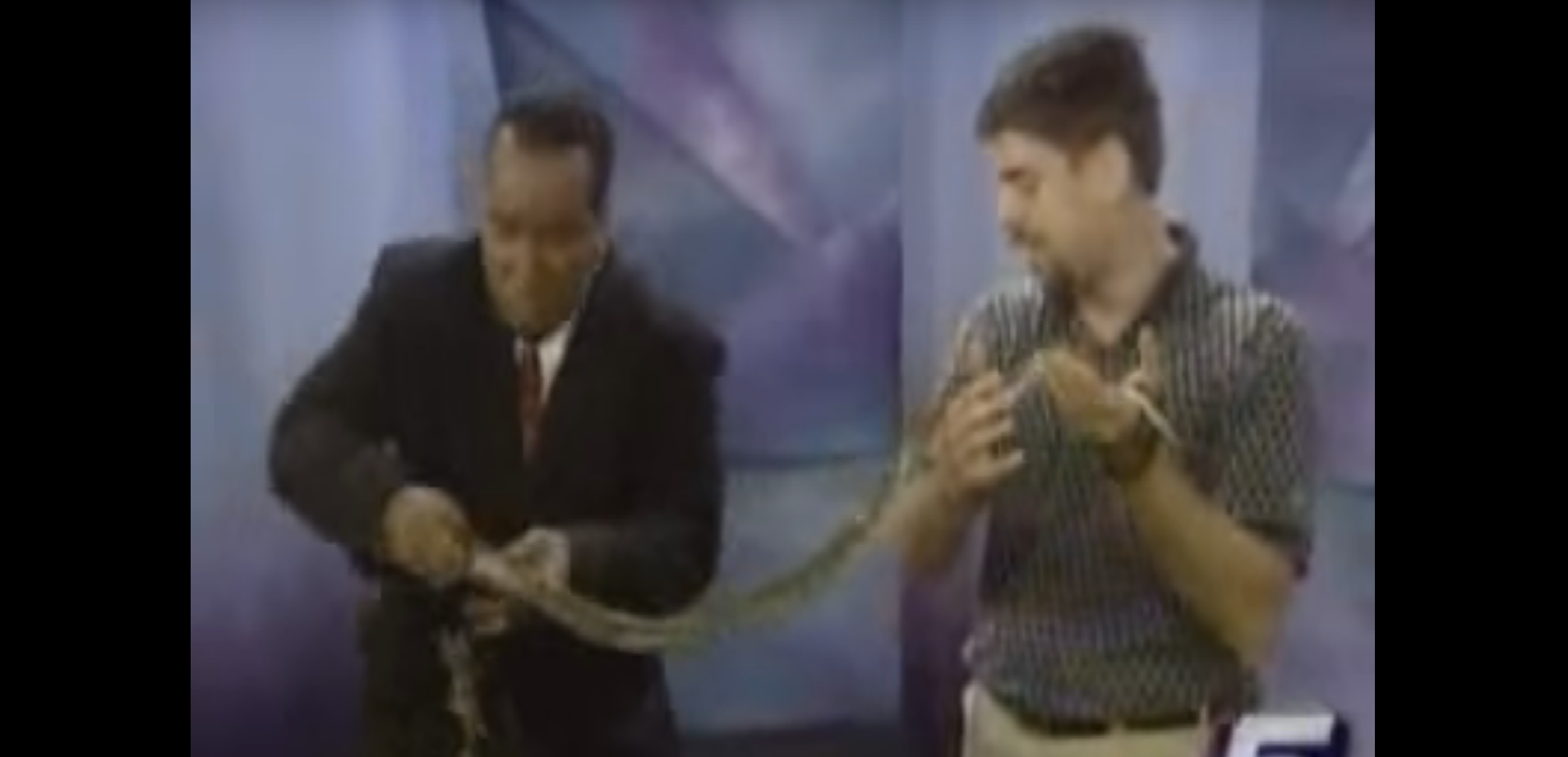 Watch This News Anchor Go Nuts After Lizard Jumps on Him