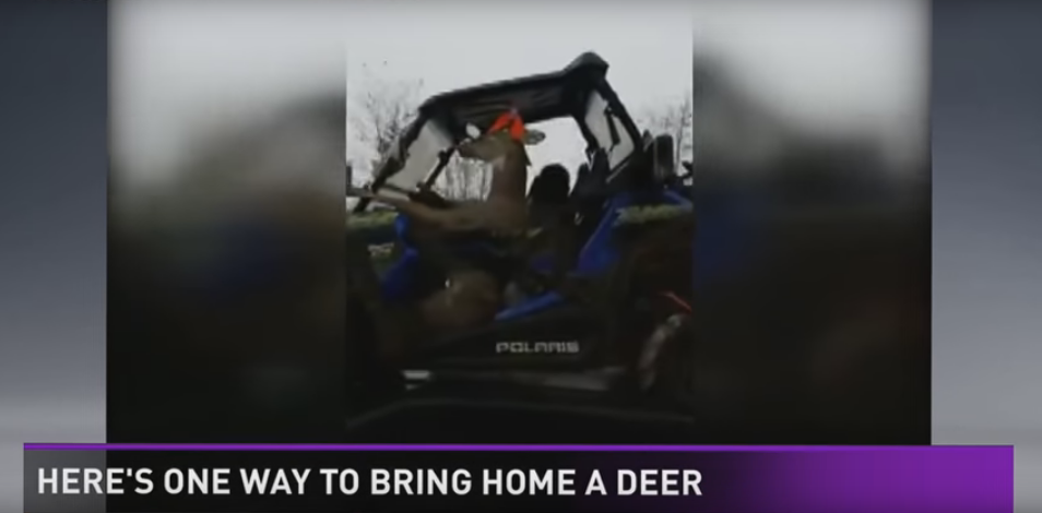 Here is One Way to Bring Home a Deer