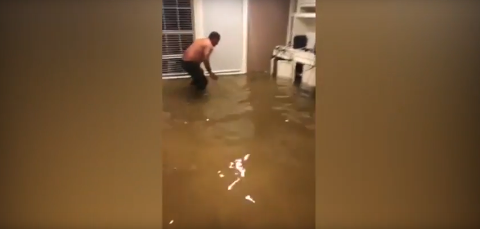 Houston Resident Catches a Fish With His Bare Hands in His Living Room [WATCH]