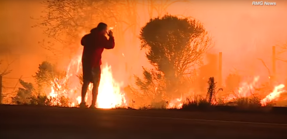 Brave California Native Saves Rabbit in Wildfires [WATCH]