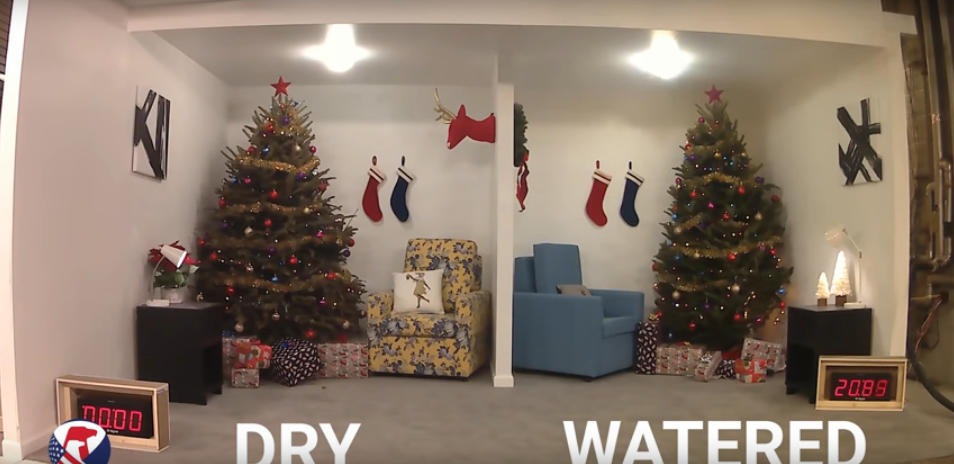 You Could Cause a House Fire if You Don’t Water Your Christmas Tree [VIDEO]