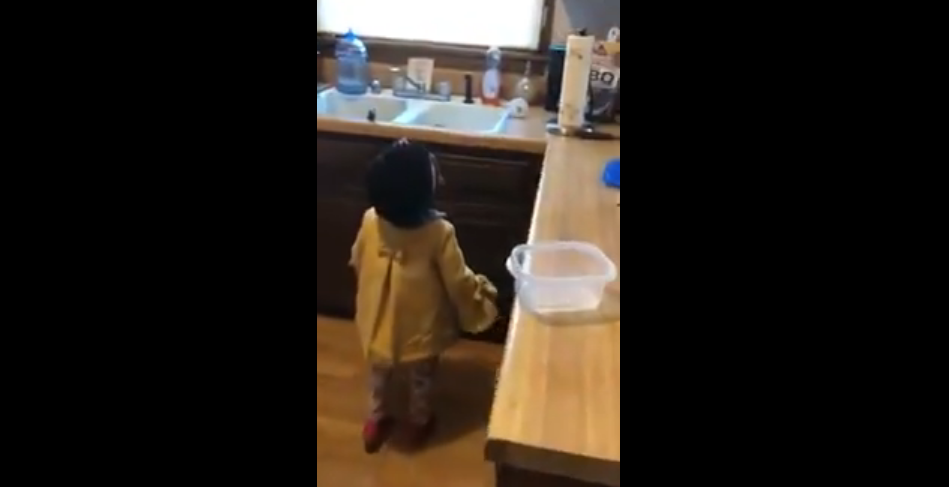Watch This Adorable Girl Try Her Hardest to Have Alexa Play Baby Shark [VIDEO]