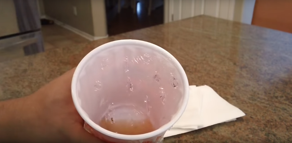 How to Get Rid of Fruit Flies in Your House