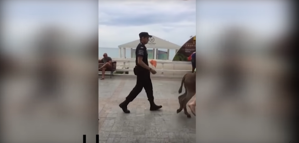 Watch Police Officers Hilariously Chase a Drunk Guy on a Donkey