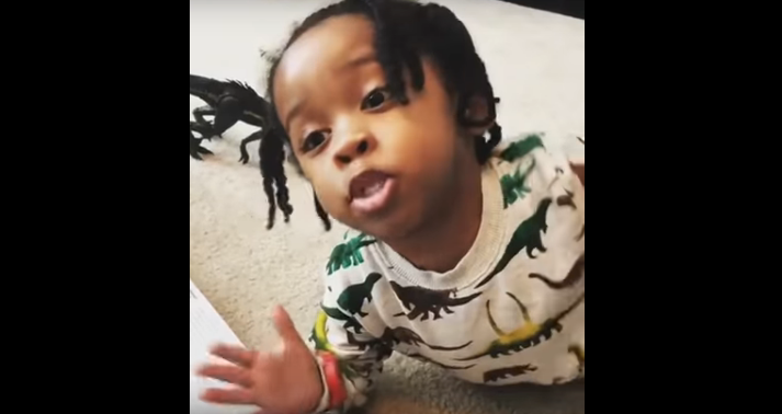 Adorable Three Year Old Explains the Reason Behind the Dinosaur Extinction [WATCH]
