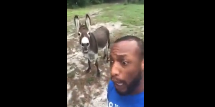 A Guy and His Donkey Sing The Lion King [VIDEO]