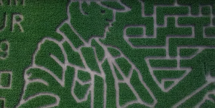 Someone Decided to Make a 6 Acre Corn Maze in the Shape of Luke Bryan [VIDEO]